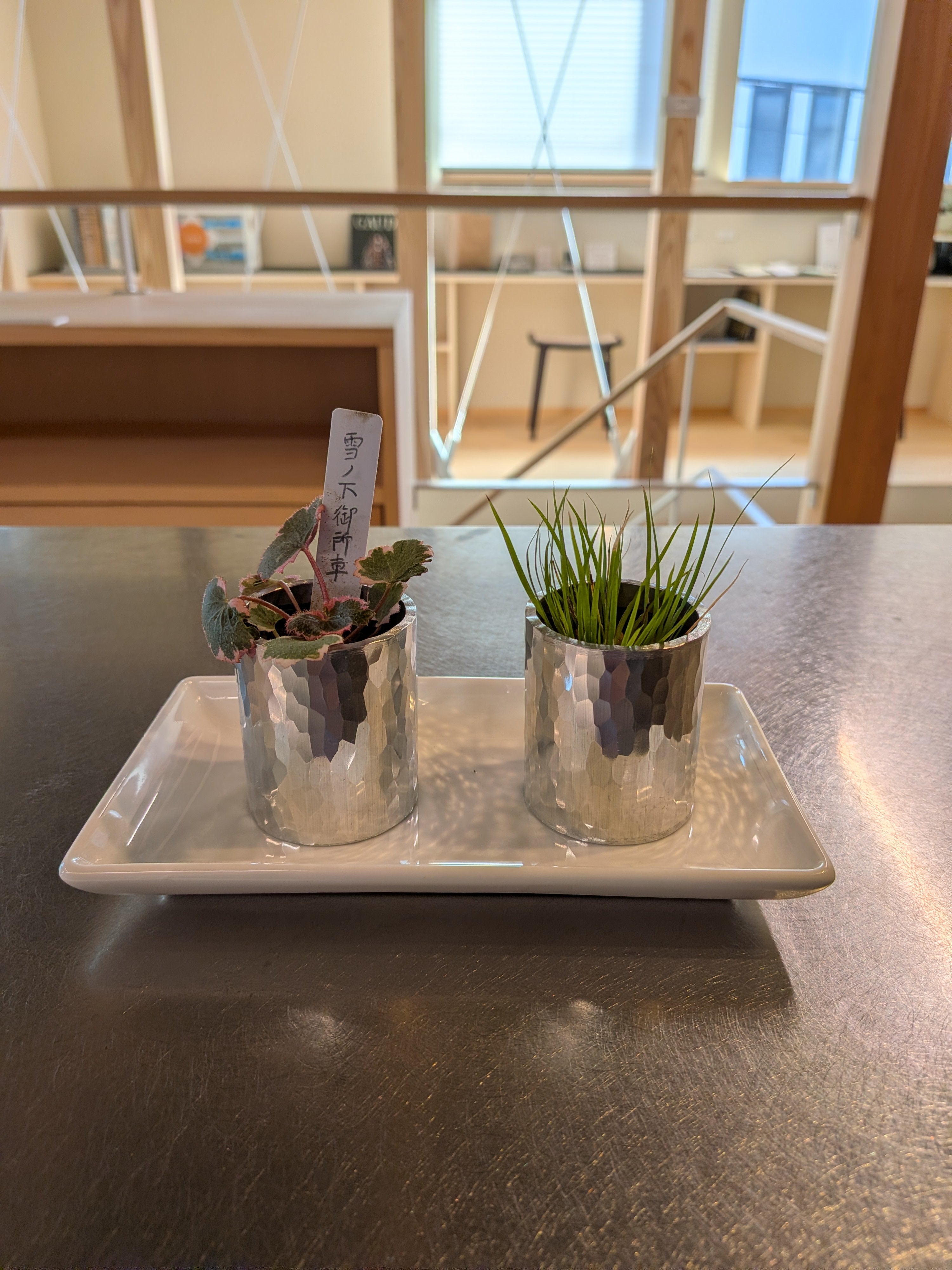 【職人仕立て】割れないアルミのミニ山野草鉢(石昌・雪の下御所車 2点セット)