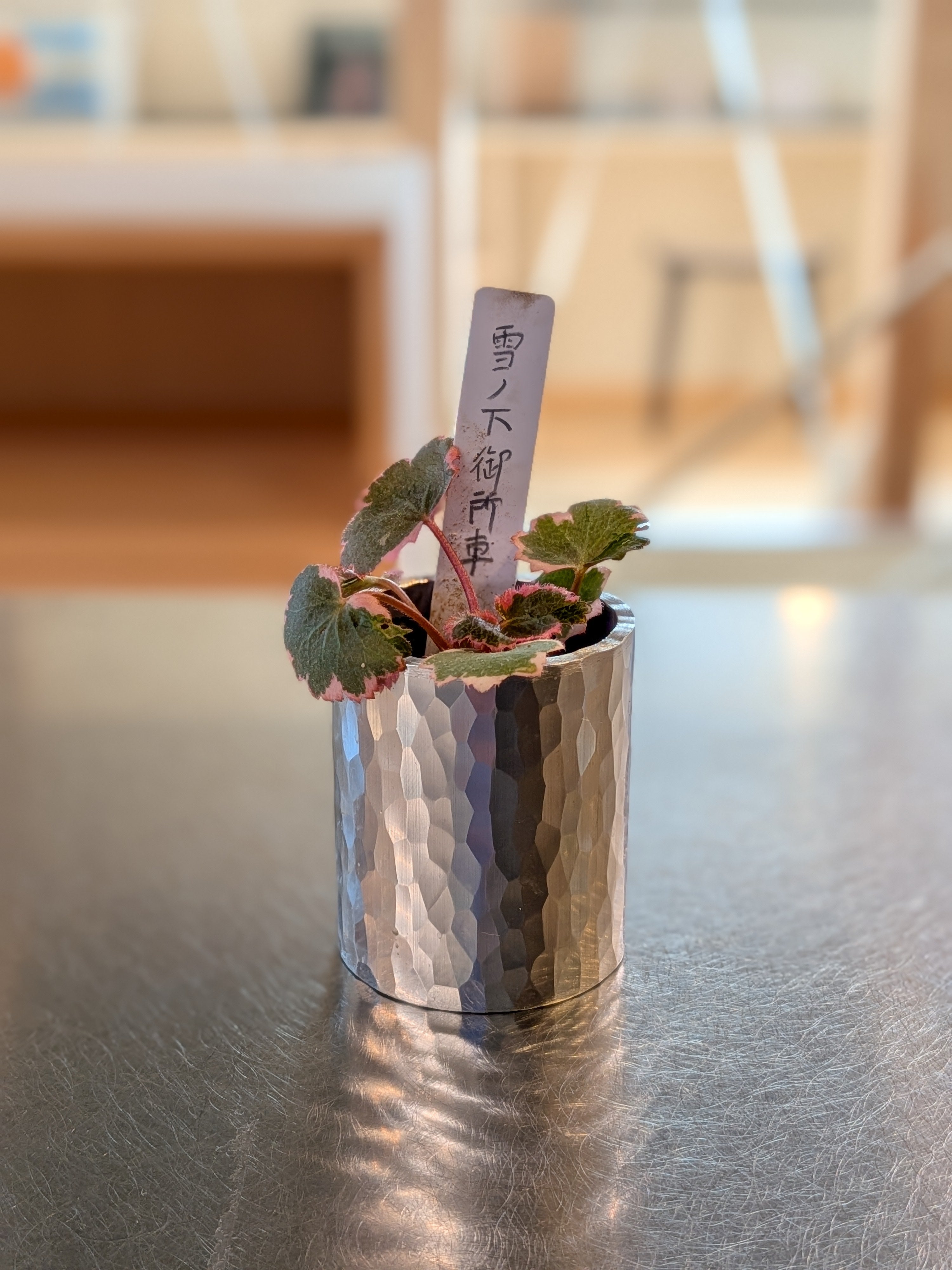 アルミ槌目の山野草鉢